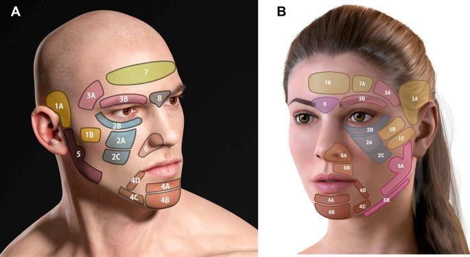Anatomy of Dermal Fillers: The Nasolabial Fold Mapping